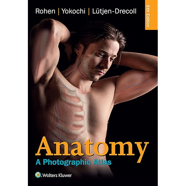 健康・医学 Color Atlas of Anatomy 7th Edition 91U4-4mkAoL._UF350,350_QL50_.jpg