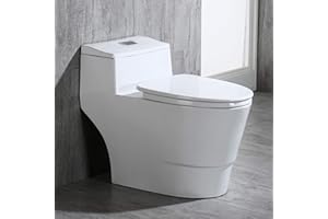Woodbridgebath T-018 Dual Flush Elongated One Piece Toilet with Soft Closing Seat, Comfort Height, Water Sense