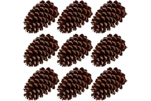 Healifty 9pcs Large Natural Pine Cones Decorative DIY Pine Cones for Home Décor, Craft Supplies,