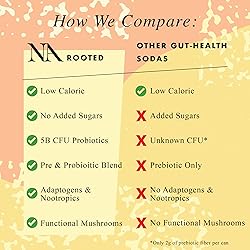 NA Non-Alcoholic Functional Adaptogen Drinks with