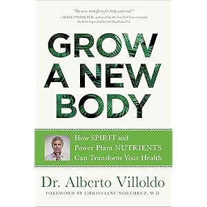 Power Up Your Brain David Perlmutter Md Alberto Villoldo - 