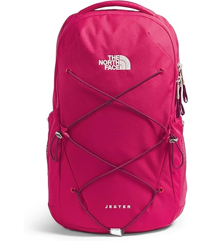 Amazon.com: The North Face Women's Vault Everyday Laptop Backpack