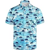 Men's Funny Golf Shirts Hawaiian Polo Shirts 80S Flashes Polo Shirts Funny Hawaiian Beach Summer Golf Polo Shirts