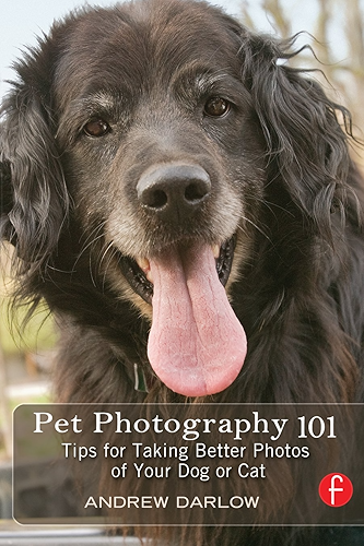 Download Pet Photography 101: Tips for taking better photos of your dog or cat (English Edition) PDF
