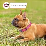 HEELE Reflective Dog Collar Nylon Neoprene Padded XS Rose 20-30cm view 5