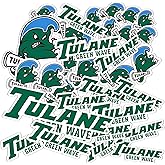 Desert Cactus Tulane University Sticker Green Wave Vinyl Decals Laptop Water Bottle Car Scrapbook Sheet T1 (Type 1-1)