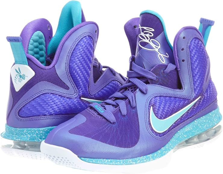 lebron 9 purple