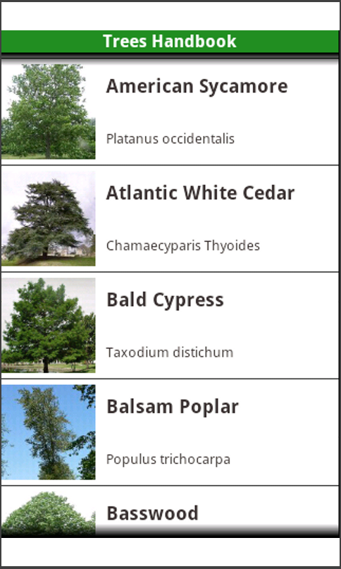 North American Trees!