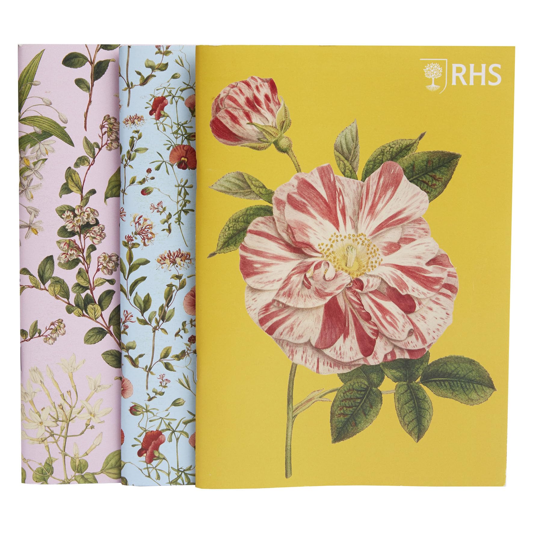 RHS The Royal Horticultural Society 40 Page Stapled Sketchbook (100gsm), Edwards, A5 Pack of 3, Multicoloured, Designs from The RHS Lindley Collections by Sydenham Teast Edwards
