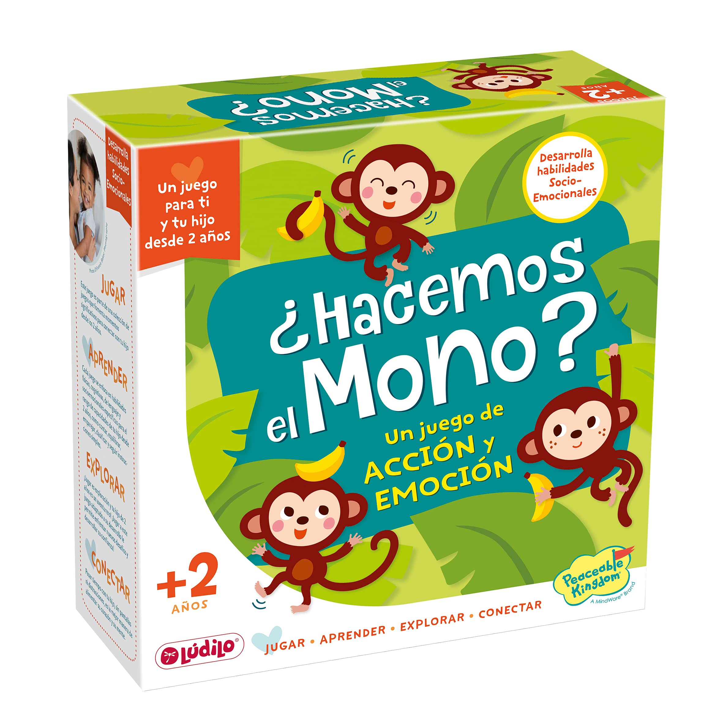 Ludilo - Do We Make The Monkey? | Toys Kids 2 Years | Toys 2 Years or More | Toy Girl 2 Years or Boy | Gift Girl 2 Years with Family Guide