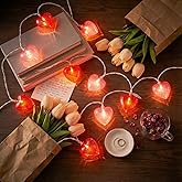 Konictom Heart String Lights Plug in, 8.5FT Valentine Lights Indoor & Outdoor, Red Pink Heart Shaped String Lights with 14 LEDs, UL Listed, IP44 Waterproof for Valentine’s Day Decor