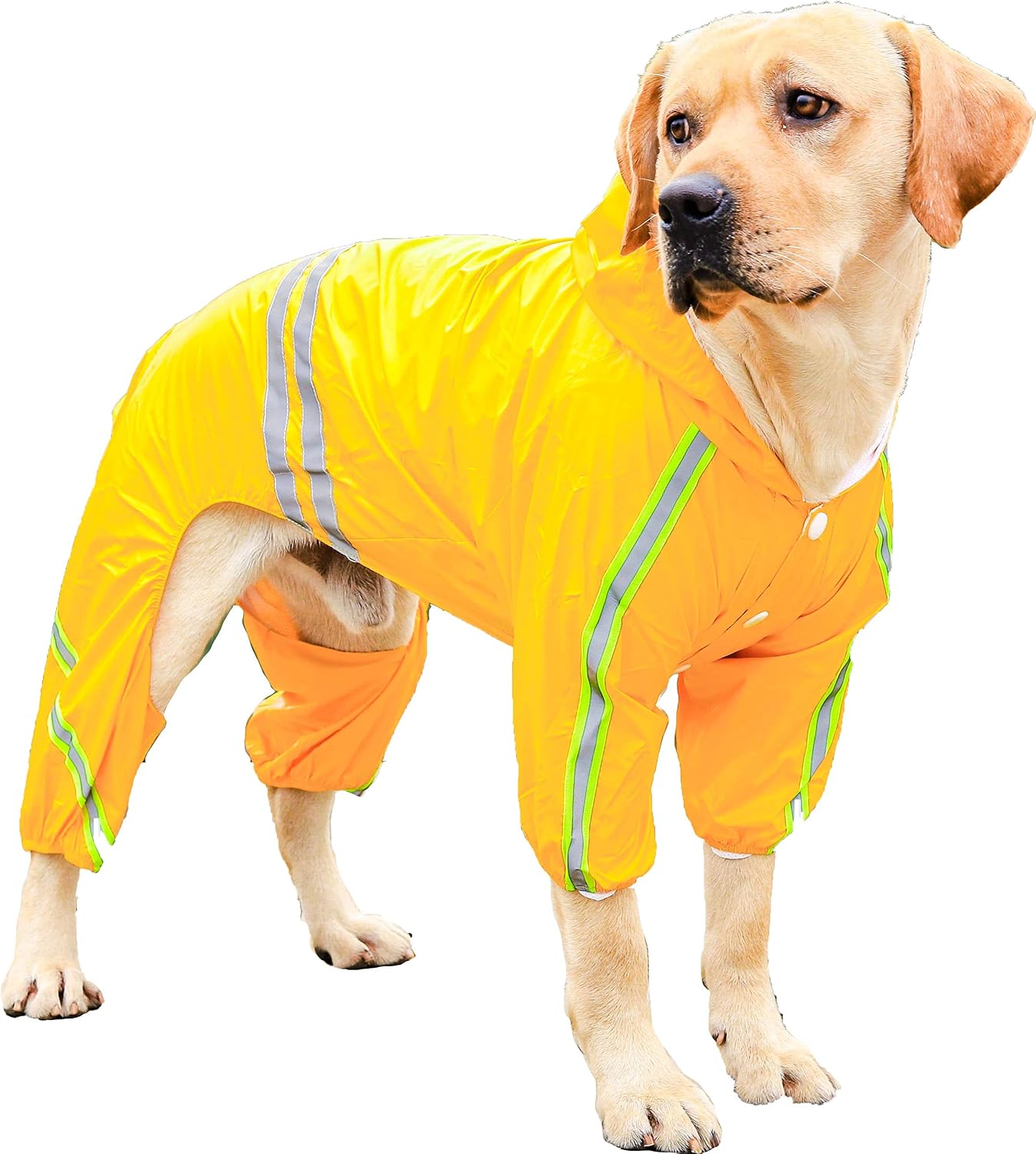 PETULANE Dog Raincoats Waterproof with Legs, Rain Jacket with Reflective Strips and Hood