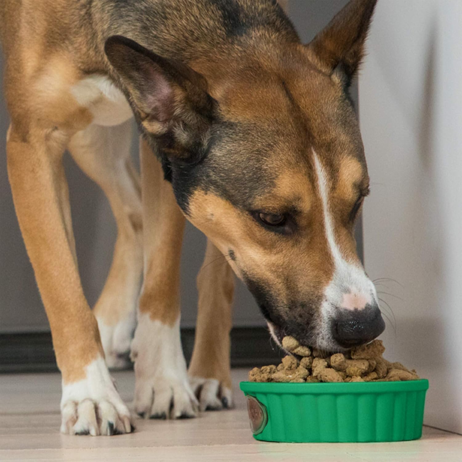 open farm freeze dried raw dog food