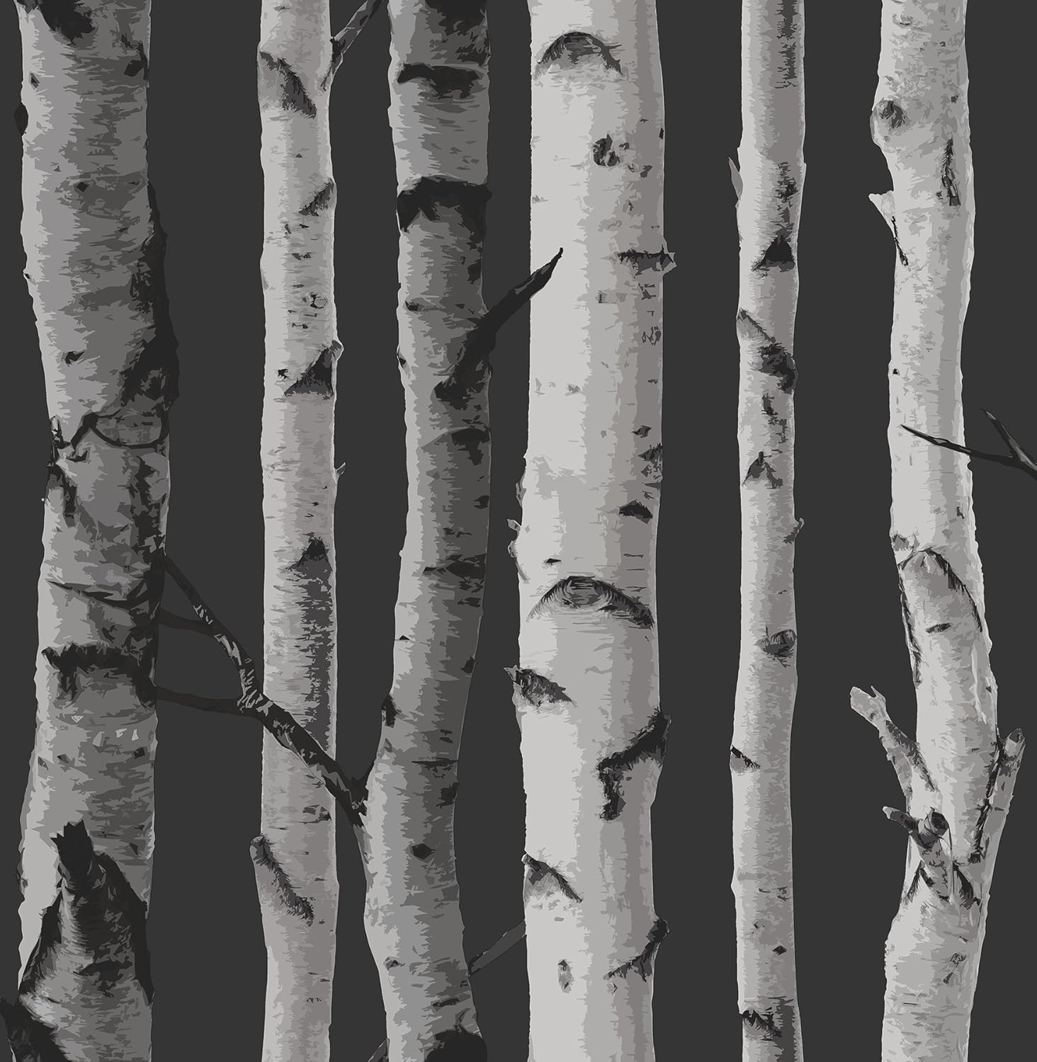 Brewster FD31052 Birch Tree WallpaperBlack, Silver Amazon.co.uk DIY