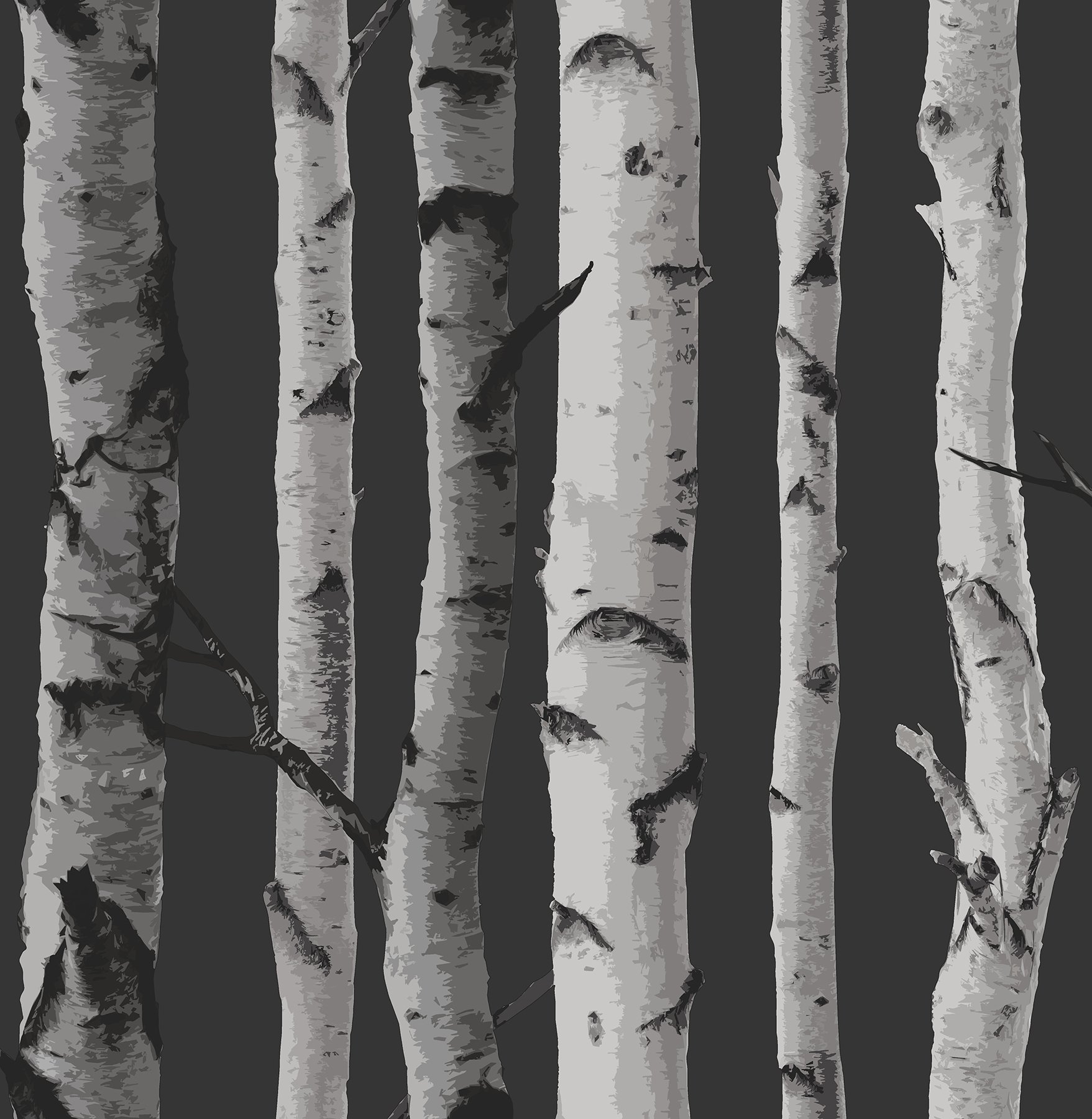 Brewster FD31052 Birch Tree Wallpaper - Black