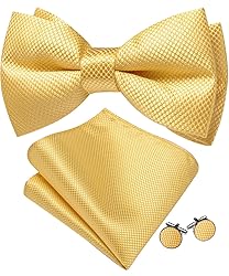 Barry.Wang Yellow Bow Ties for Men Pre-tied Bow Tie