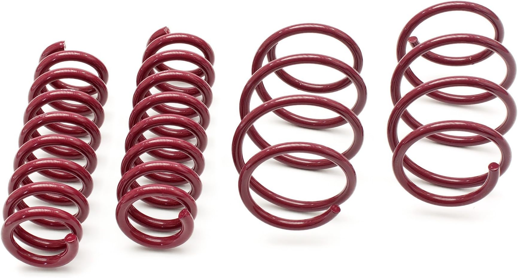 Vogtland954009 Lowering Springs