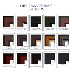 ArtToFrames 16x20 inch Diploma Frame & Certificate