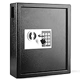 Flexzion Key Cabinet Key Lock Box Wall Mount with
