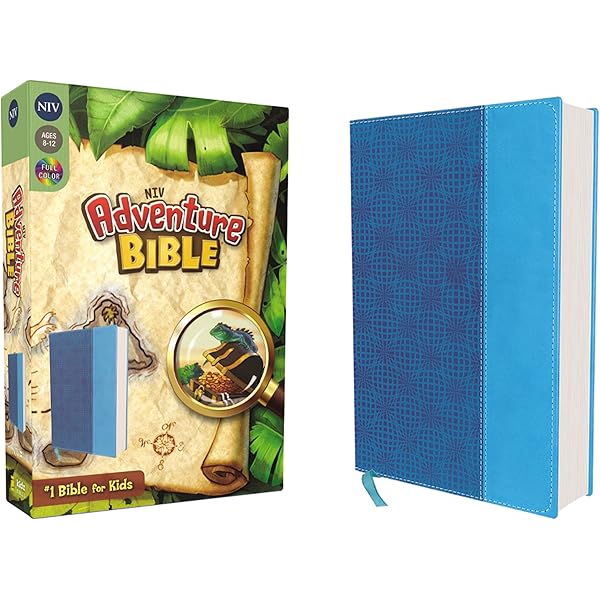 洋書 URY NKJV, Adventure Bible, Leathersoft, Teal, Full Color: Richards