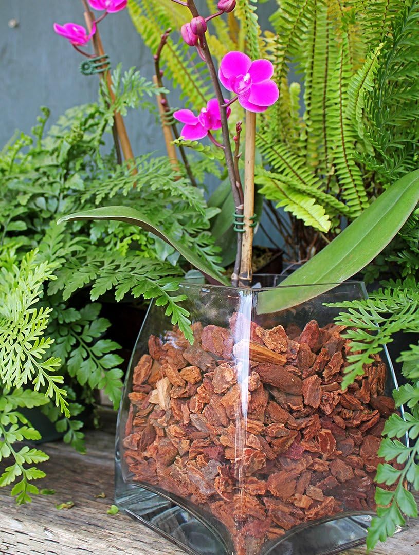 Super Moss (23114) Orchid Potting Bark, Natural, 4 quarts: Garden & Outdoor