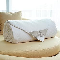 CUDDLE DREAMS Silk Comforter for