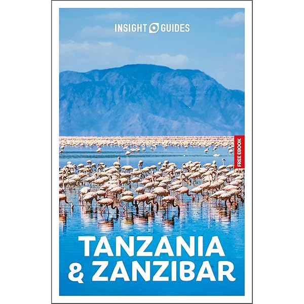 Translocal Connections across the Indian Ocean: Swahili Speaking