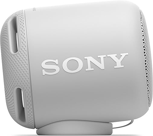 sony srsxb10b