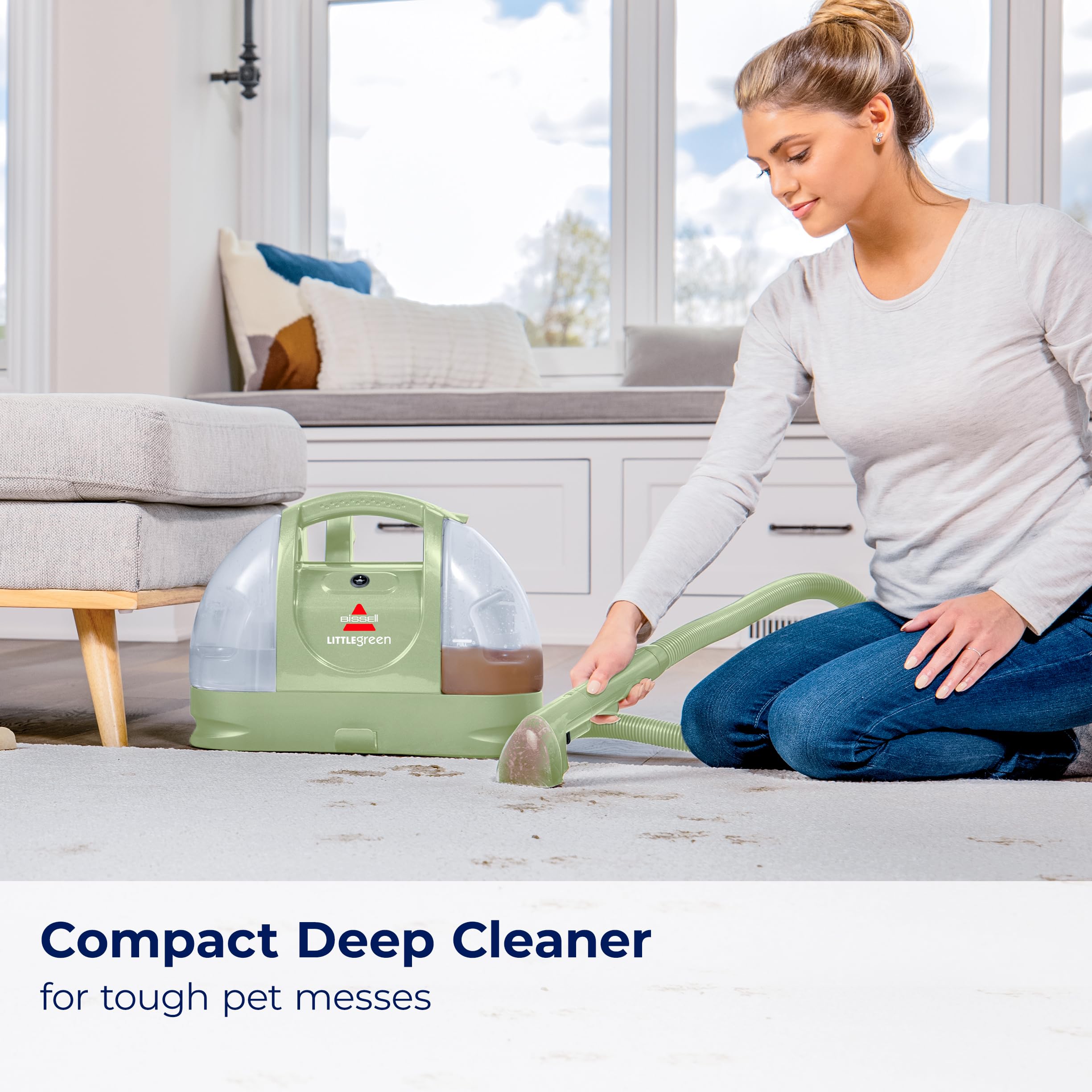 Little Green Cleaner
