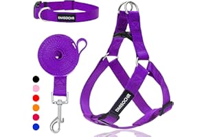 IPRAVOCI No Pull Dog Harness - Adjustable Step-in Harness & Leash Set for Small, Medium, Large Dogs - Escape Proof Soft Pet Harness for Walking, Training, Hiking, Outdoor Activities