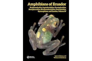 Amphibians of Ecuador: Phyllomedusidae, Leptodactylidae, Ceratophryidae, Hemiphractidae, Eleutherodactylidae, Centrolenidae, 