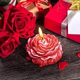 Baanfly 3D Peony Honeycomb Candle Mould Silicone for Soap & Baking view 4