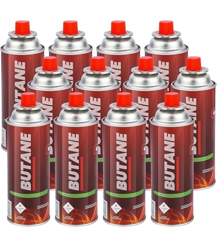 Amazon.com: NATIONAL STANDARD Butane Fuel Canister 12 x 8oz