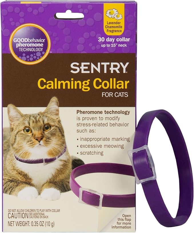 Sentry Calming Collar for Cats, 1 Count Amazon.ca Pet Supplies