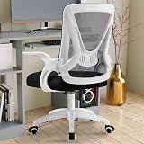 Blisswood Office Mesh Chair with 90° Flip-Up Armrests Ergonomic Lumbar Support view 2
