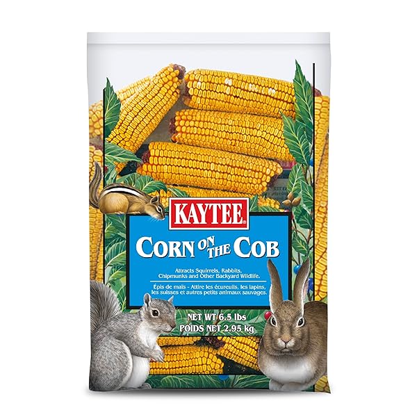 KAYTEE CORN ON THE COB, 6.5 LB