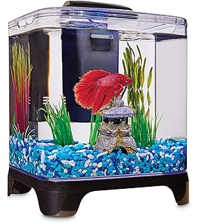 Amazon Com Petco Glass Mantra Betta Bowl 1 Gallon Fish Bowls