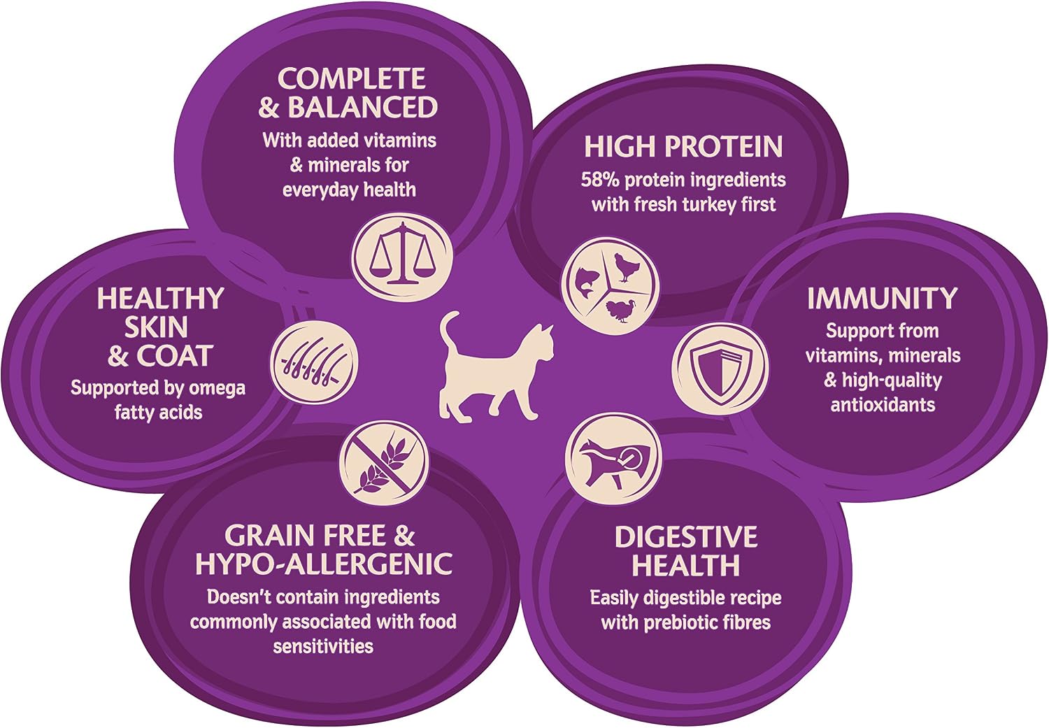 Wellness CORE Kitten 1.75 kg, Turkey & Chicken, Dry Cat Food for Kittens Grain-Free, Natural, Hypoallergenic, Protein-Rich - Image 3