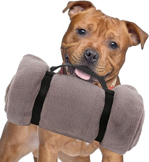 super soft dog blanket