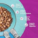Whiskas Duo Adult Wet Cat Food in Jelly Ocean Delight 12x85g Pack of 4 view 7