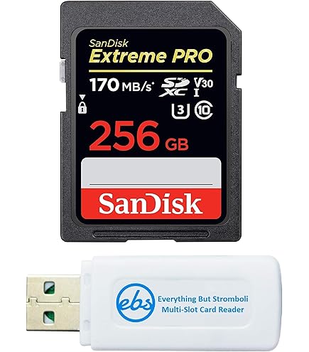 SanDisk - マイクロSD SanDisk Extreme 256GB 2個セット Amazon.com: SanDisk 256GB (2 Pack) Extreme microSDXC 190MB/s