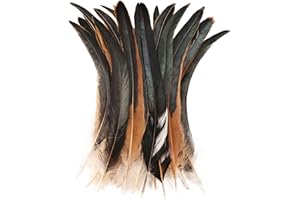 Colorful Rooster Tail Feathers-50PC 10-12inch Natural Long Rooster Tail Feathers Bulk (natural)