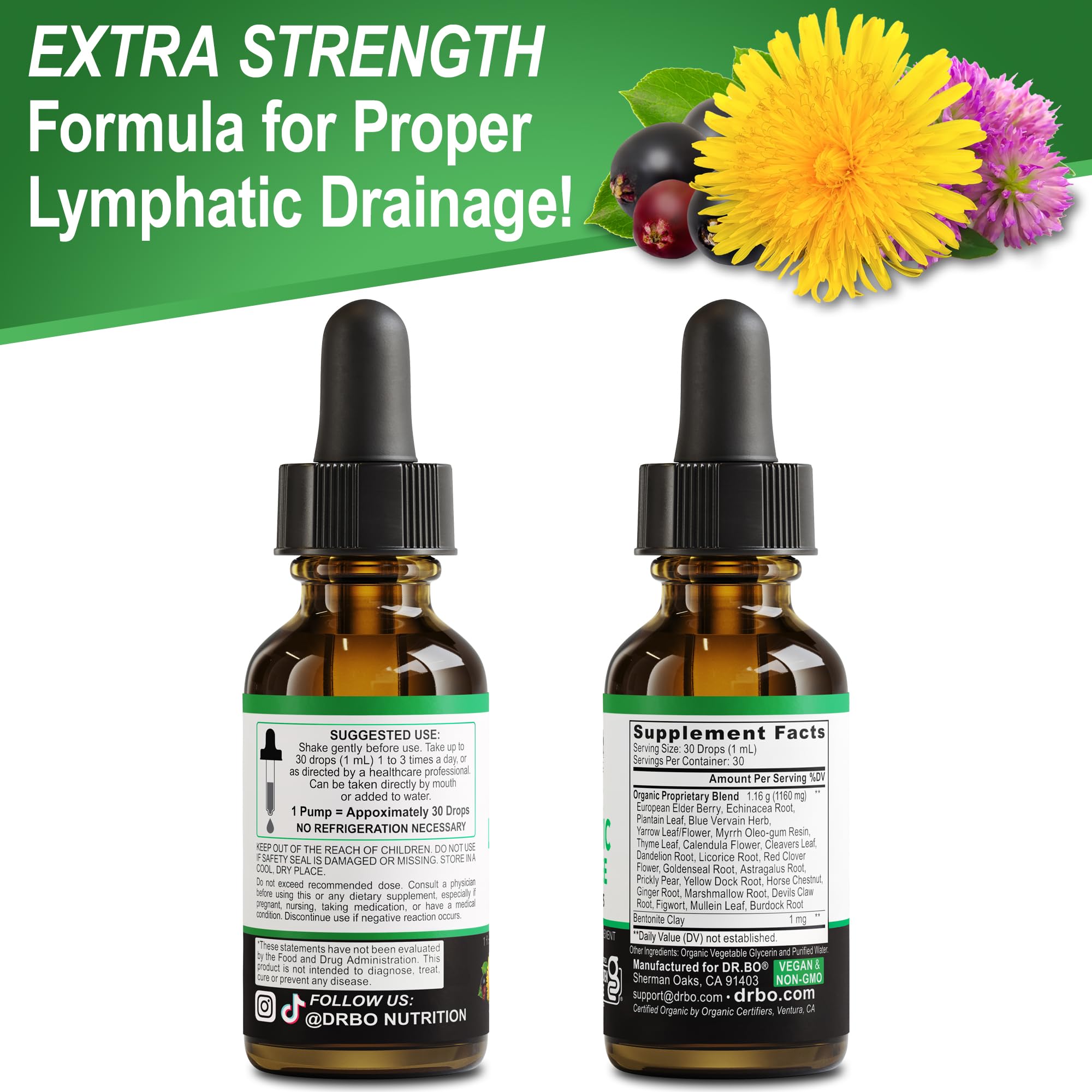 Lymphatic Drainage Supplements Drops - Organic Lymphatic Support Liquid Drops Cleanse with Echinacea, Lymph System Support Supplement, Lymph Node Detox Cleanse System Drainage - 1oz Non-GMO Organics