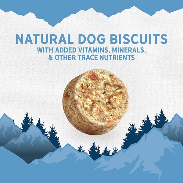 TRIUMPH SOFT BAKED NATURAL DOG BISCUITS WITH CHICKEN & APPLES, 8OZ.
