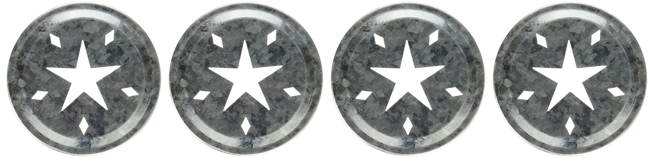 Transform Mason Lid Inserts 4/Pkg-Silver Star