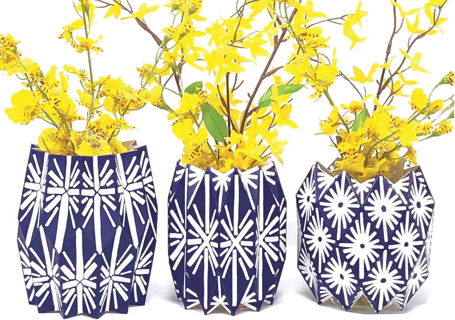 Lucy Grymes Set of 3 Expandable and Collapsible Paper