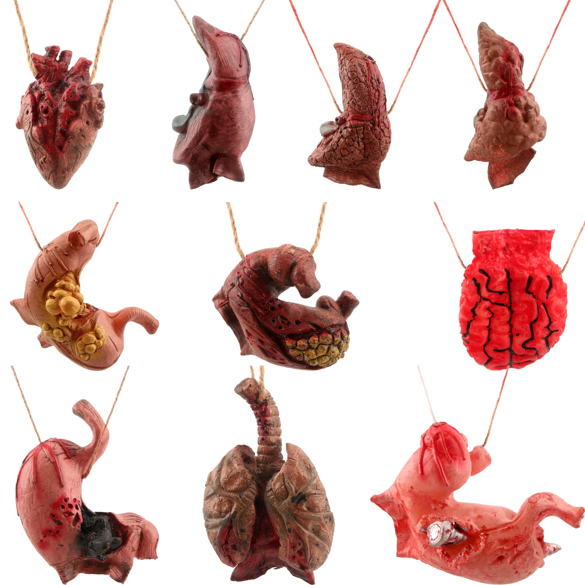 Photo 1 of Cagemoga 10 Pieces Halloween Blood Body Parts Realistic Scary Fake Lung Liver Stomach Heart Brain Organs Props for Halloween Prank Props Haunted House Vampire Zombie Party Decorations