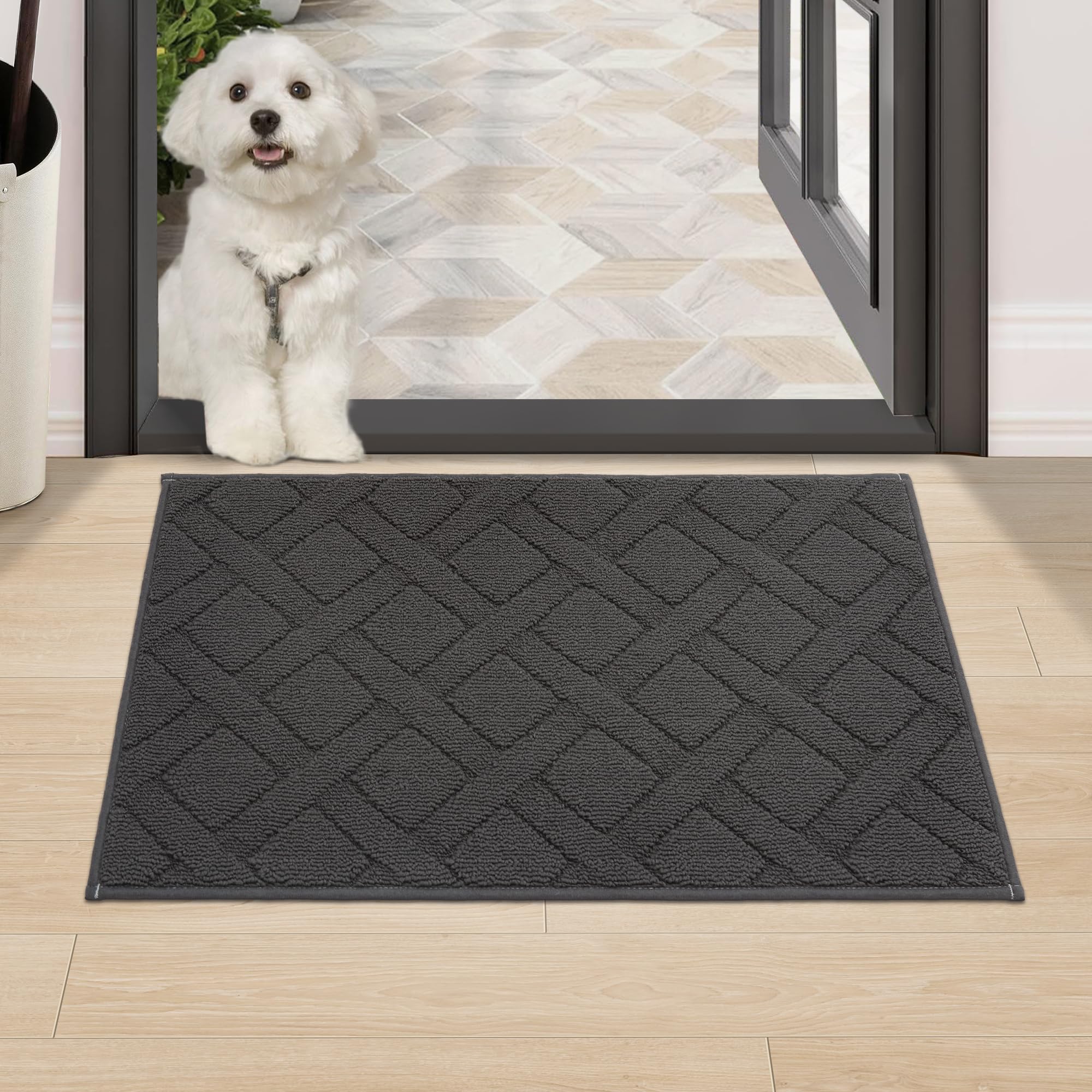 Photo 1 of COSY HOMEER Door Mat Indoor Entrance, Non-Slip Absorbent Doormat for Front Door, Low-Profile Entryway Mat for Muddy Paws, Washable Dirt Trapper Mats (20"x32", Dark Grey)