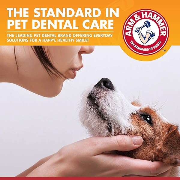 ARM & HAMMER FOR PETS CLINICAL CARE DENTAL GUM HEALTH KIT FOR DOGS | CONTAINS TOOTHPASTE, TOOTHBRUSH & FINGERBRUSH | SOOTHES INFLAMED GUMS, 3-PIECE KIT, CHICKEN FLAVOR