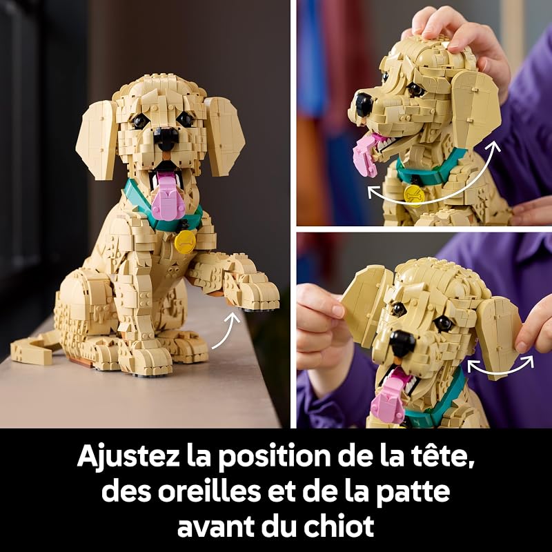 Icons Le Chiot Golden Retriever 11384